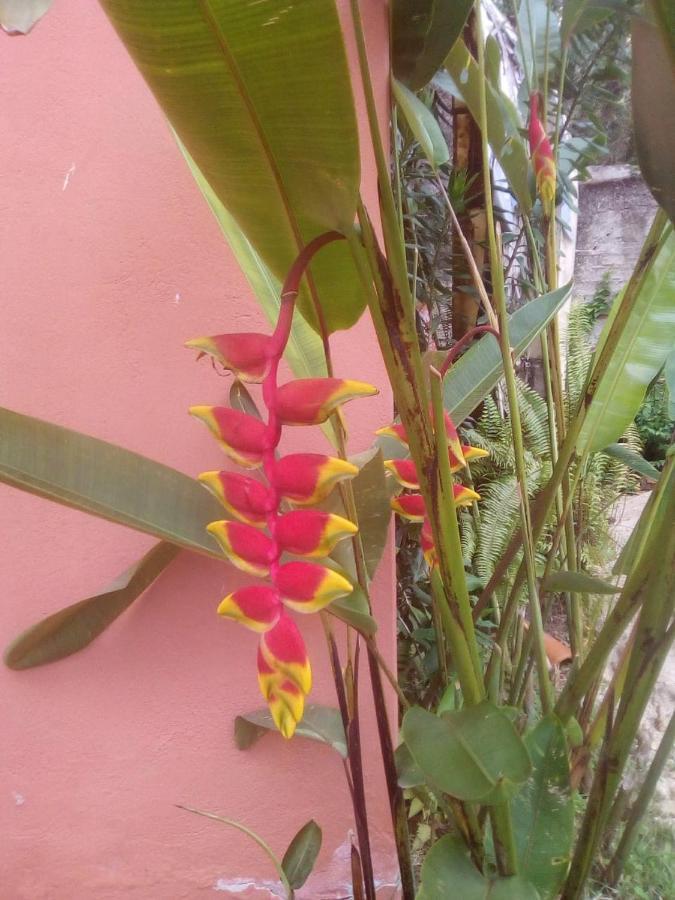 Pousada Portal Das Flores 파라티 외부 사진